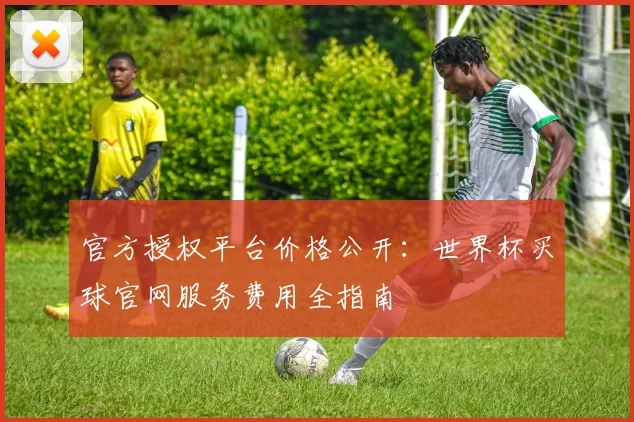 官方授权平台价格公开：世界杯买球官网服务费用全指南