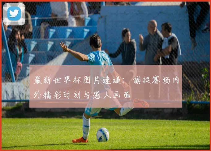最新世界杯图片速递：捕捉赛场内外精彩时刻与感人画面