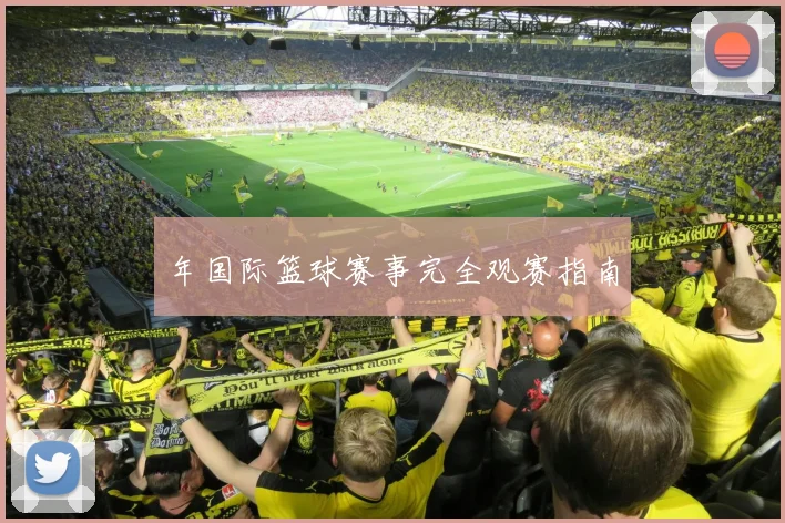 年国际篮球赛事完全观赛指南