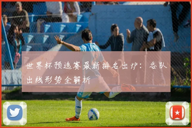 世界杯预选赛最新排名出炉：各队出线形势全解析