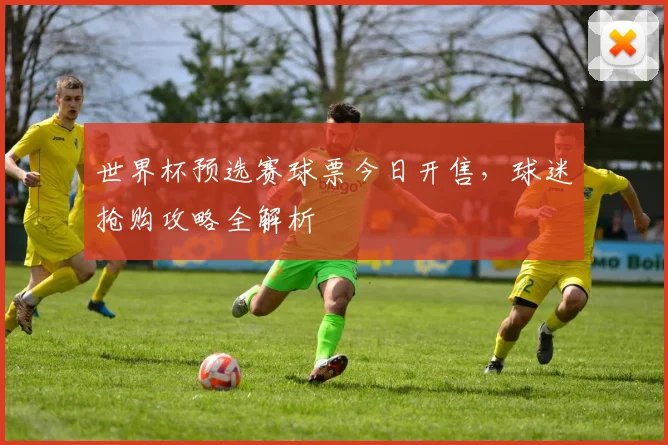 世界杯预选赛球票今日开售，球迷抢购攻略全解析