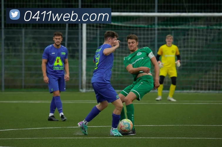 开云app官方入口网页版全站App